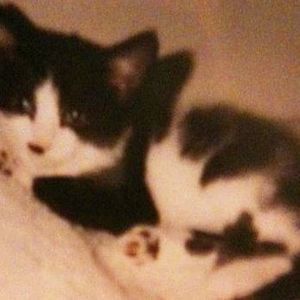 Meet your Posher, Jill-marks