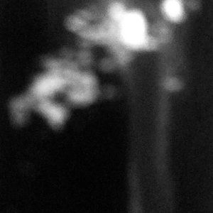 Meet your Posher, George