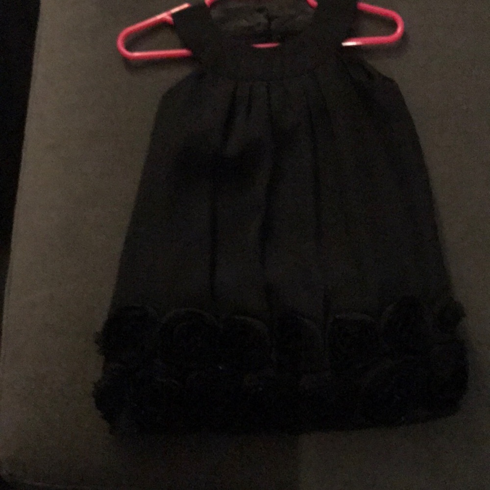Beautiful Holiday fashion dress