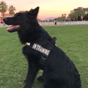 Meet your Posher, Travis