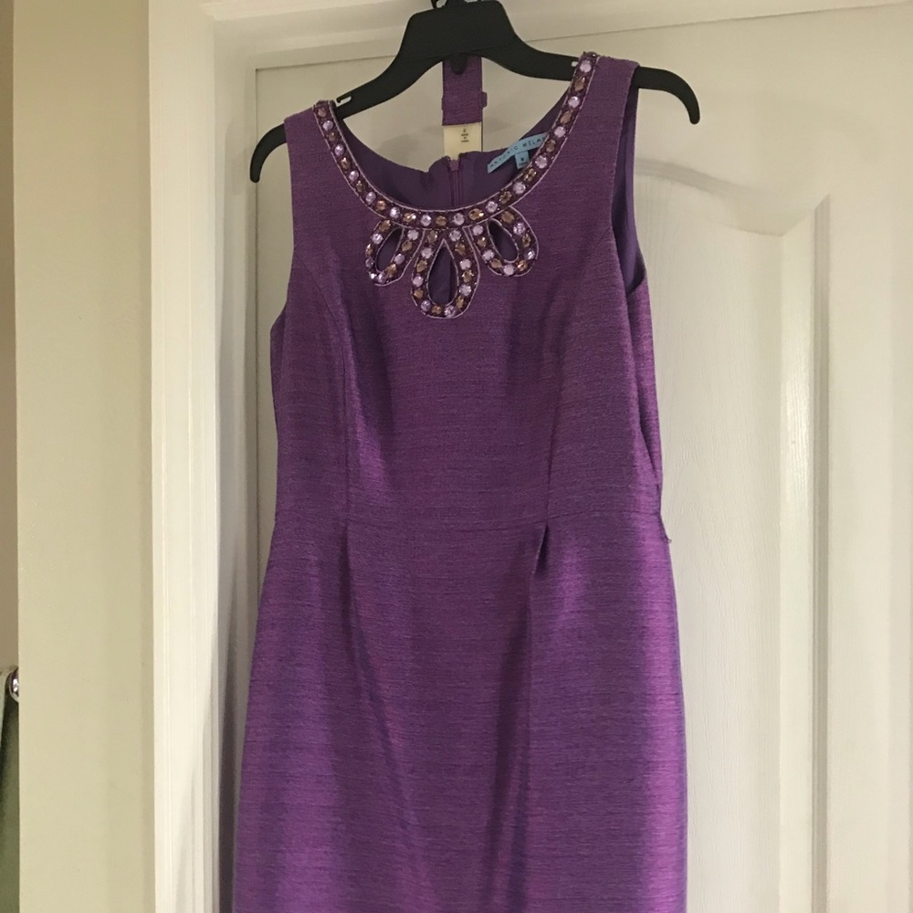 Dazzling Antonio Melani Dress