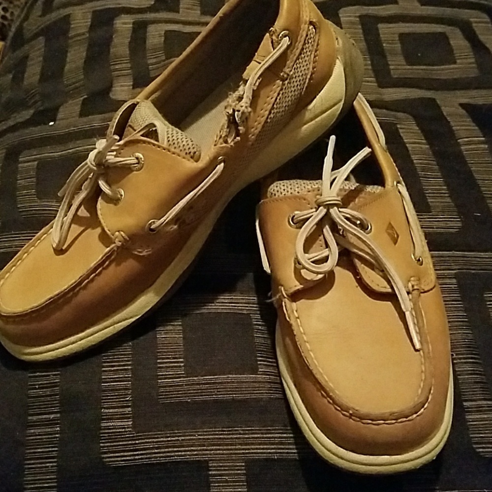 Sperry top-spider shoes