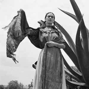 Meet your Posher, Taco