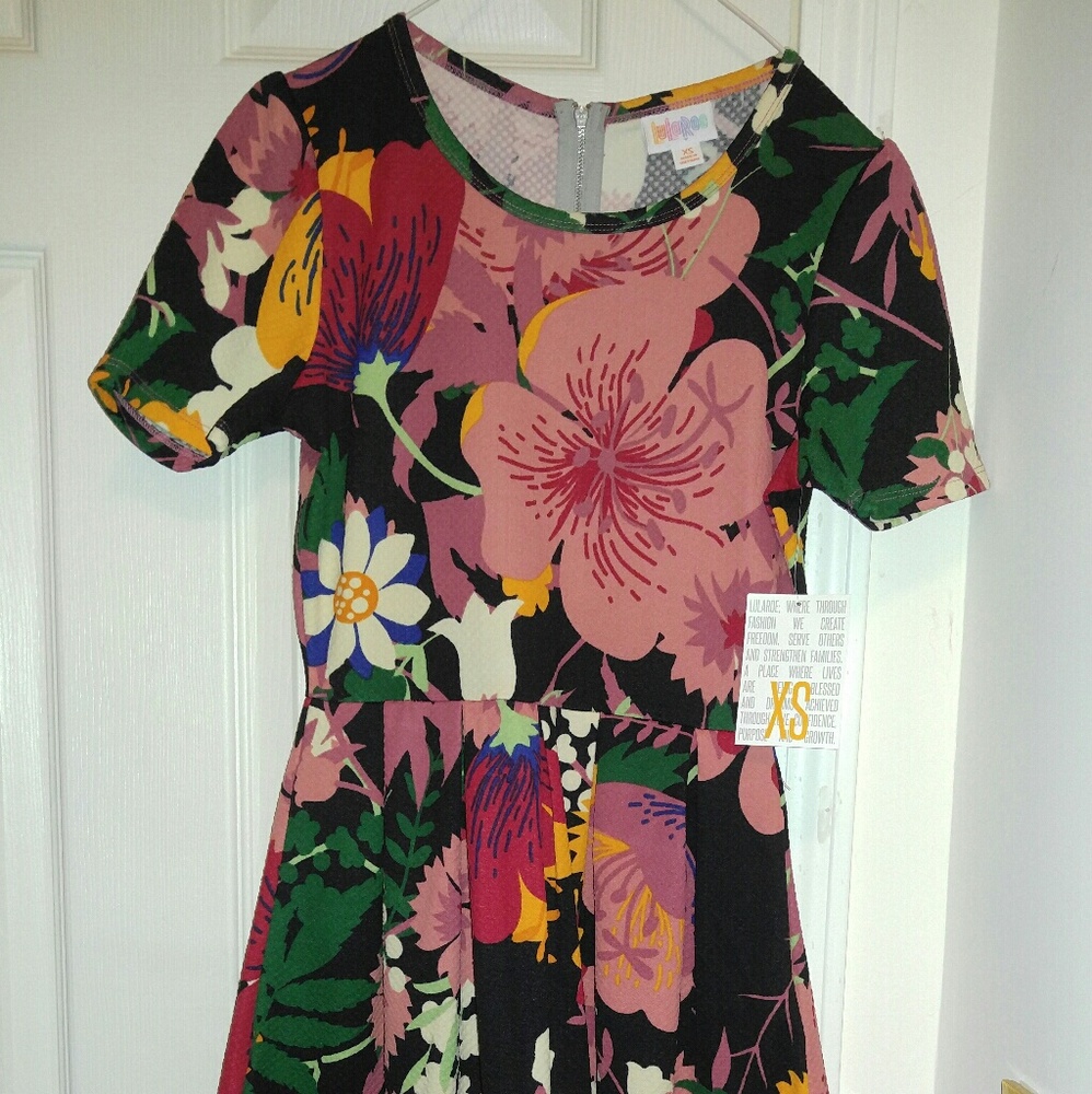 LuLaRoe Ameila dress