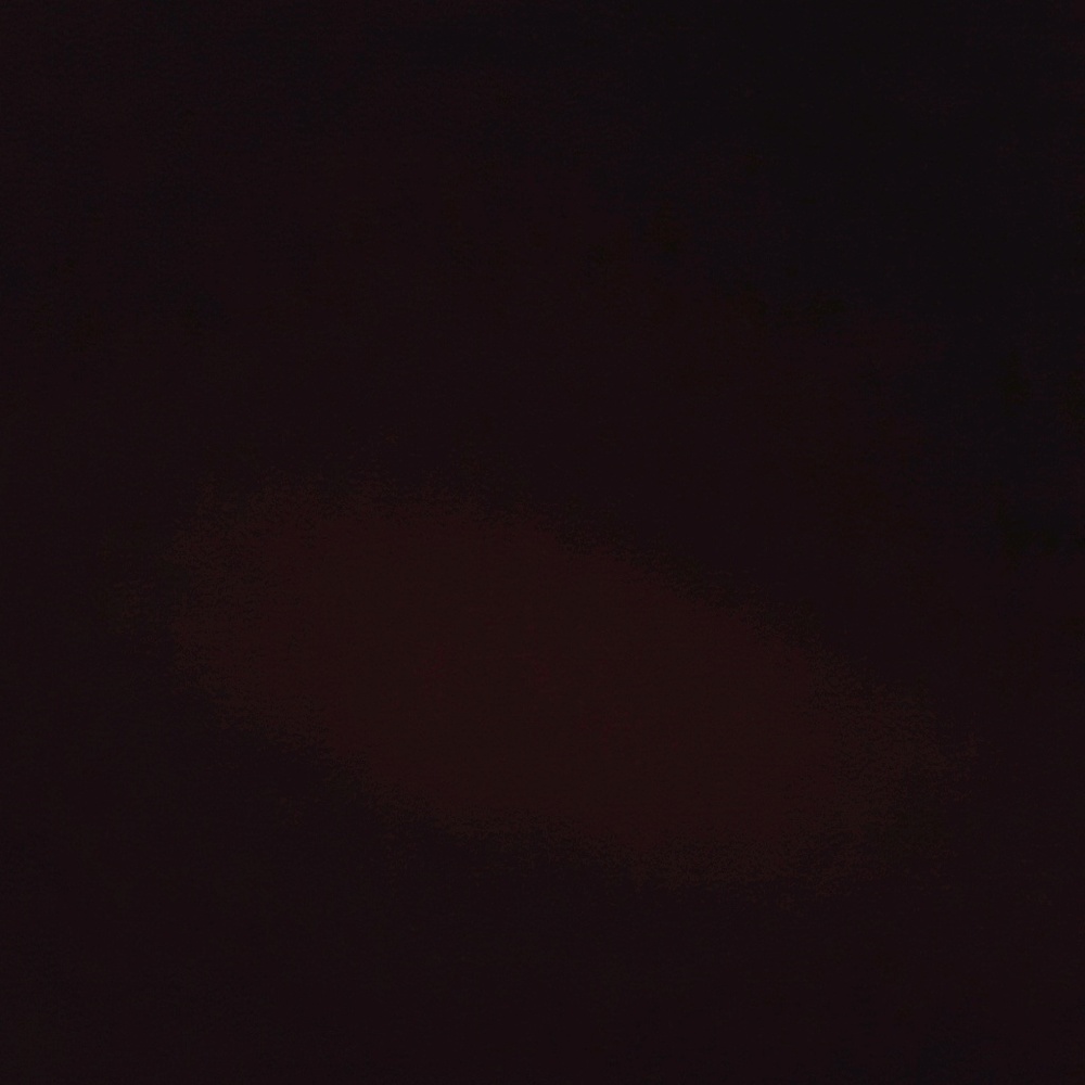 Meet your Posher, Berenise