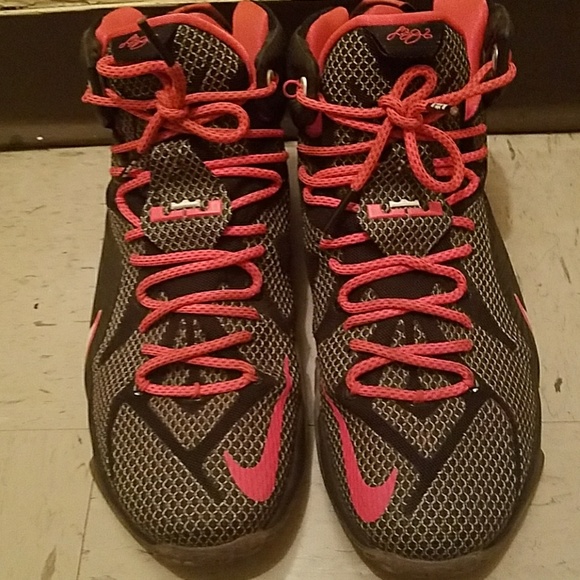 LeBrons - Picture 2 of 3