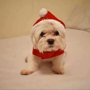 Meet your Posher, Idaly