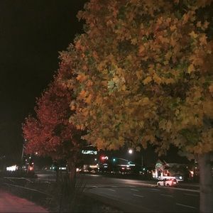 Meet your Posher, Sina