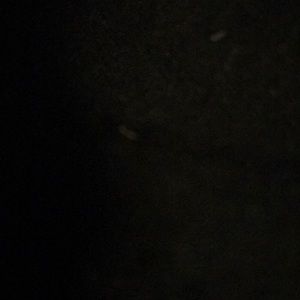 Meet your Posher, Deon