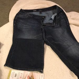 Lane Bryant Jeans