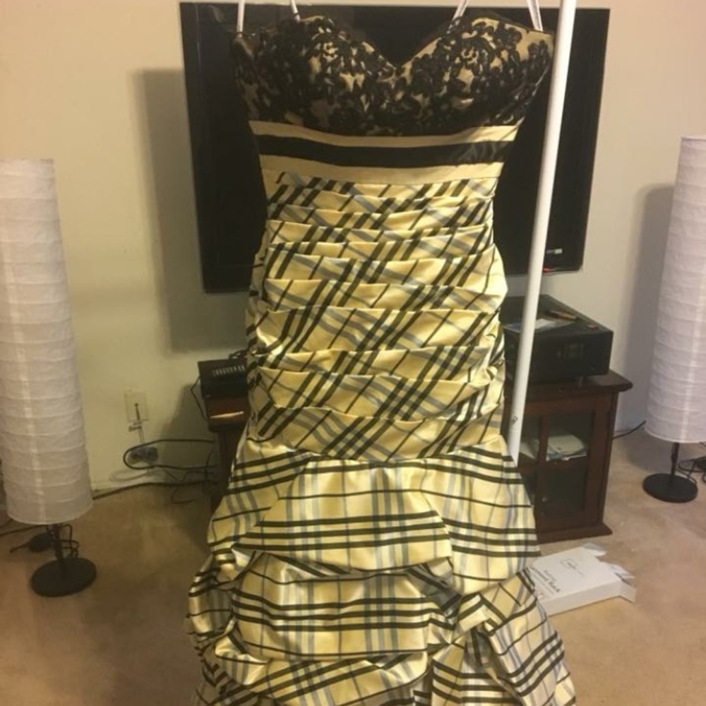 Prom/pageant dress
