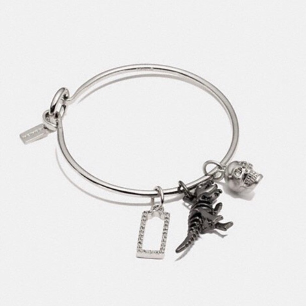 COACH Rexy Bangle Bracelet Set
