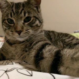 Meet your Posher, Man si