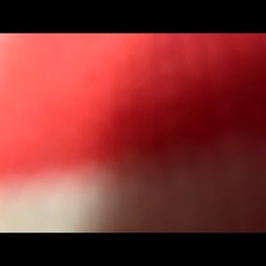 Meet your Posher, Talia