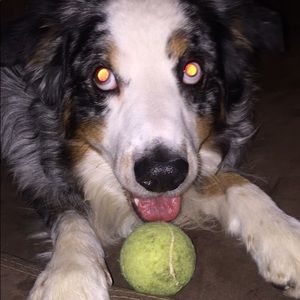 Meet your Posher, Richard