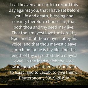 Meet your Posher, Stephany