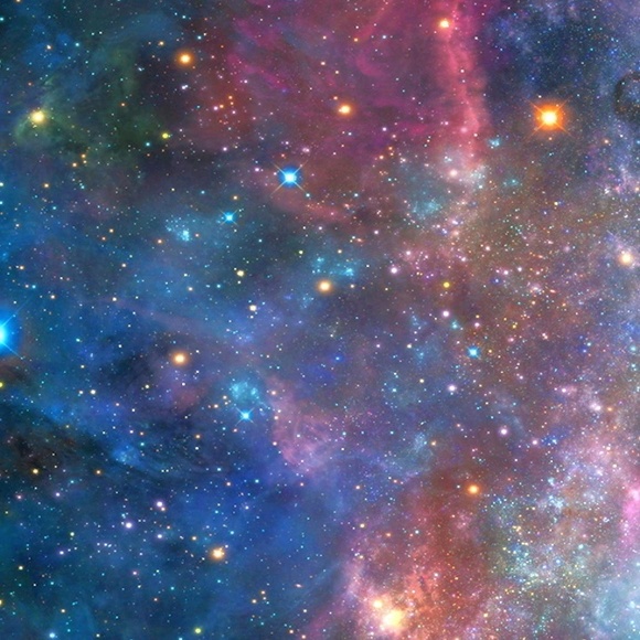 Meet your Posher, Derrick - Picture 1 of 1