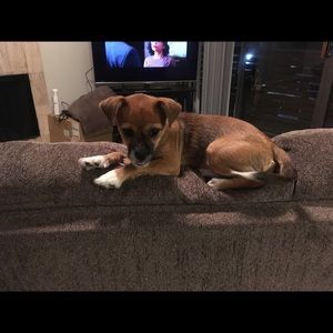 Meet your Posher, Gregory