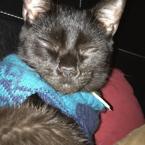 Meet your Posher, Courtney