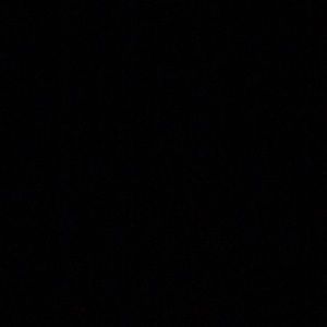 Meet your Posher, Phillip