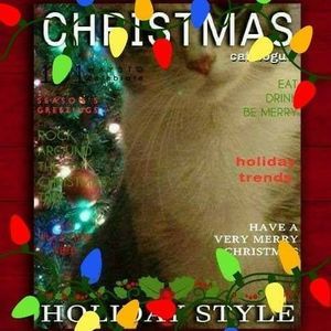 Meet your Posher, Irma