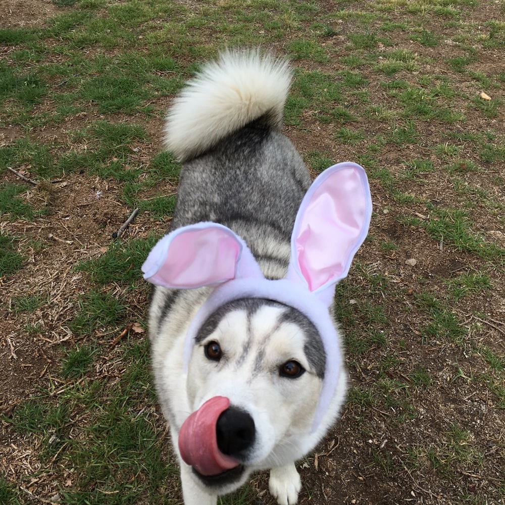 Meet your Posher, Lori