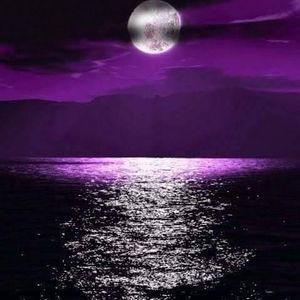 Meet your Posher, Johnnie