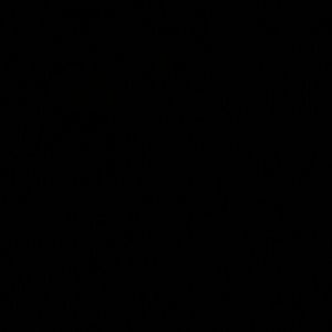 Meet your Posher, Giselle