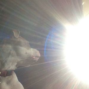 Meet your Posher, Charles