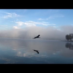 Meet your Posher, Dylan