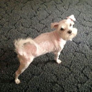 Meet your Posher, Kendra