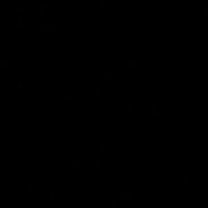 Meet your Posher, Bryan