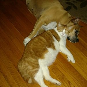 Meet your Posher, Amber