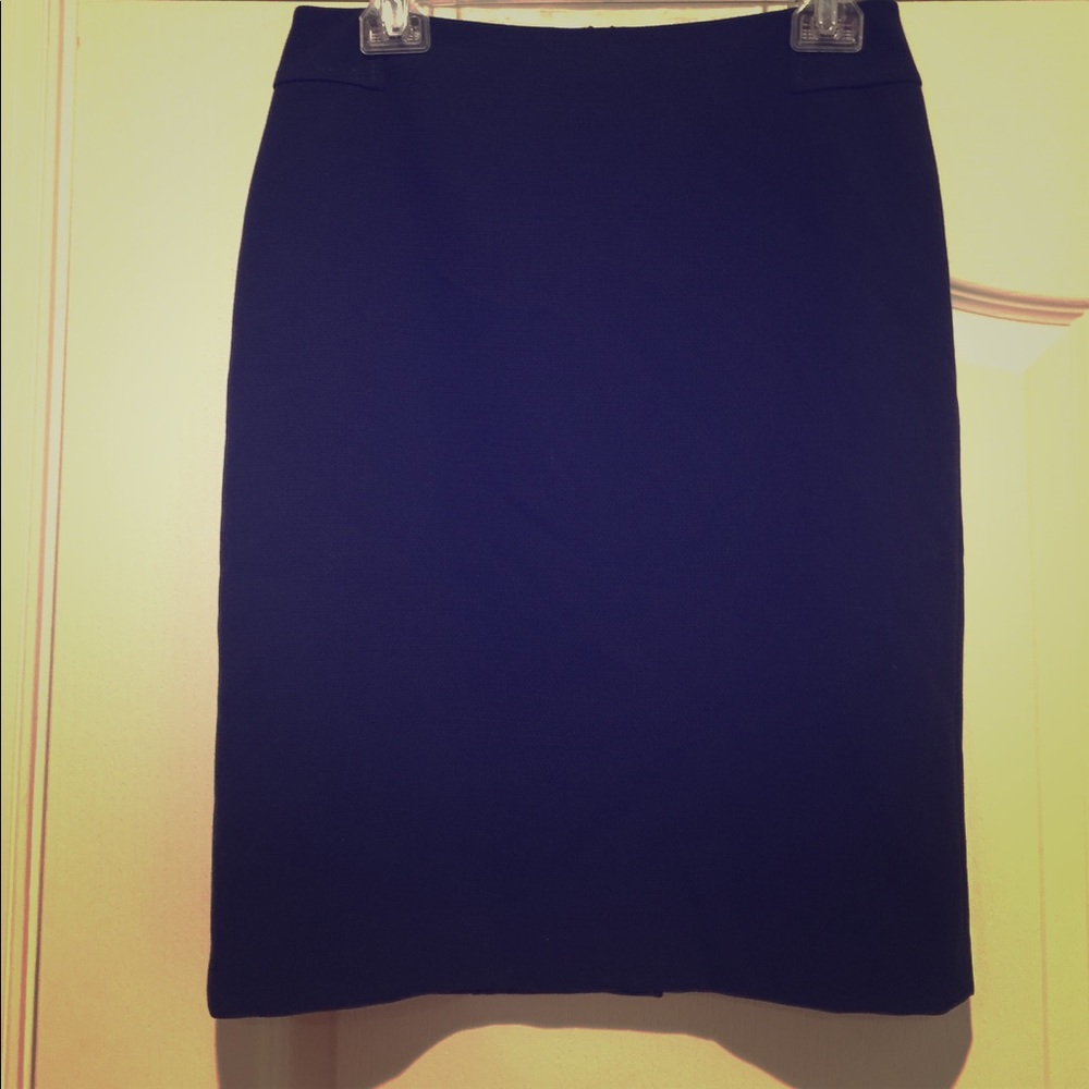 Ann Taylor Skirt