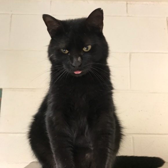 Meet your Posher, Derrick - Picture 1 of 1