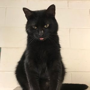 Meet your Posher, Derrick