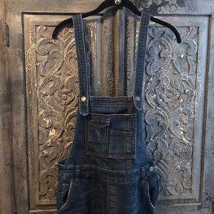 Free People Denim overalls size 25.