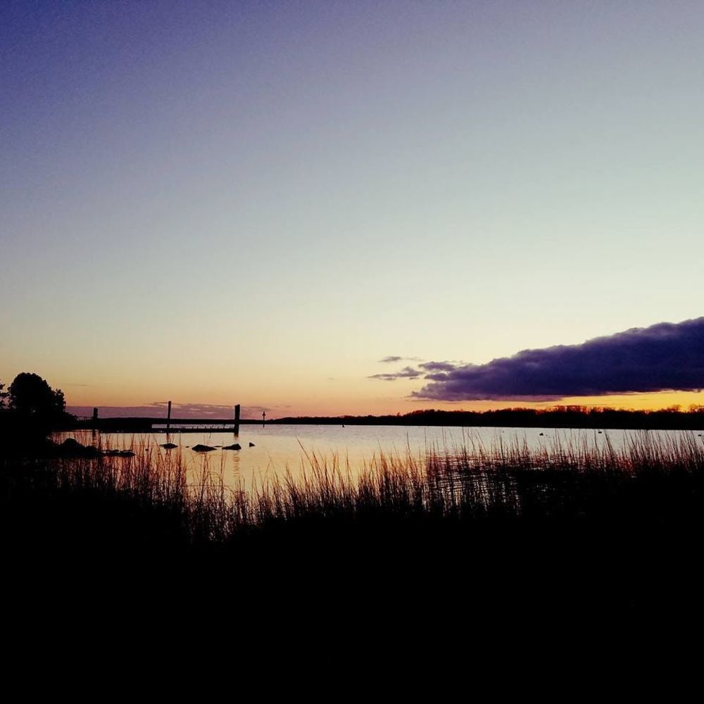 Meet your Posher, Peter