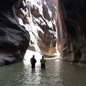 Meet your Posher, Billy