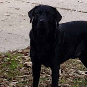 Meet your Posher, Elijah