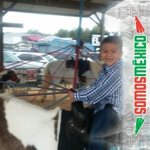 Meet your Posher, Aaron