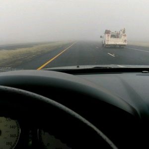 Meet your Posher, Flor