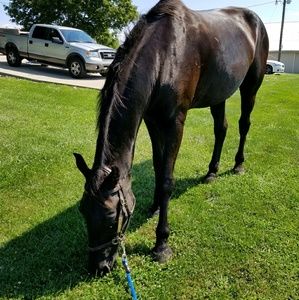 Meet your Posher, Christy