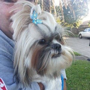 Meet your Posher, Dixie