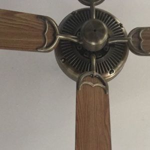 Meet your Posher, Rosebud