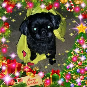 Meet your Posher, Jodi