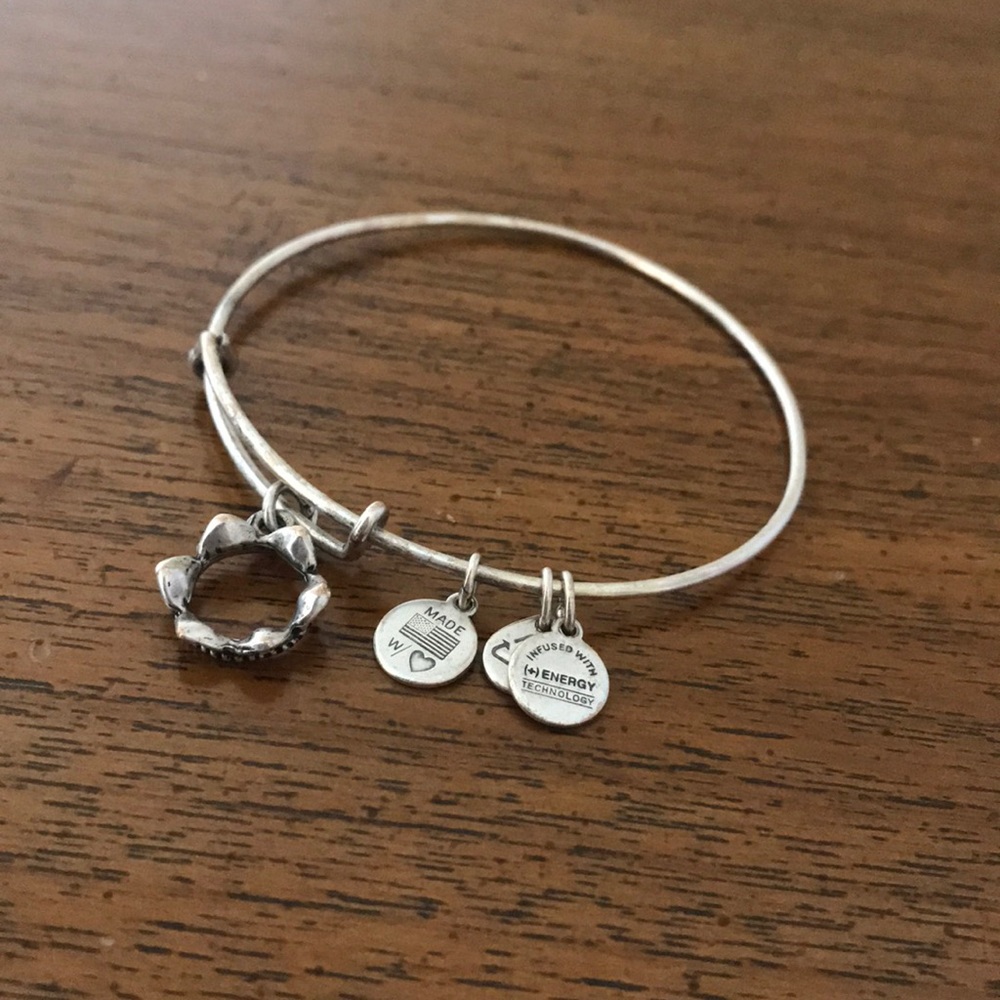 Alex & Ani bracelet