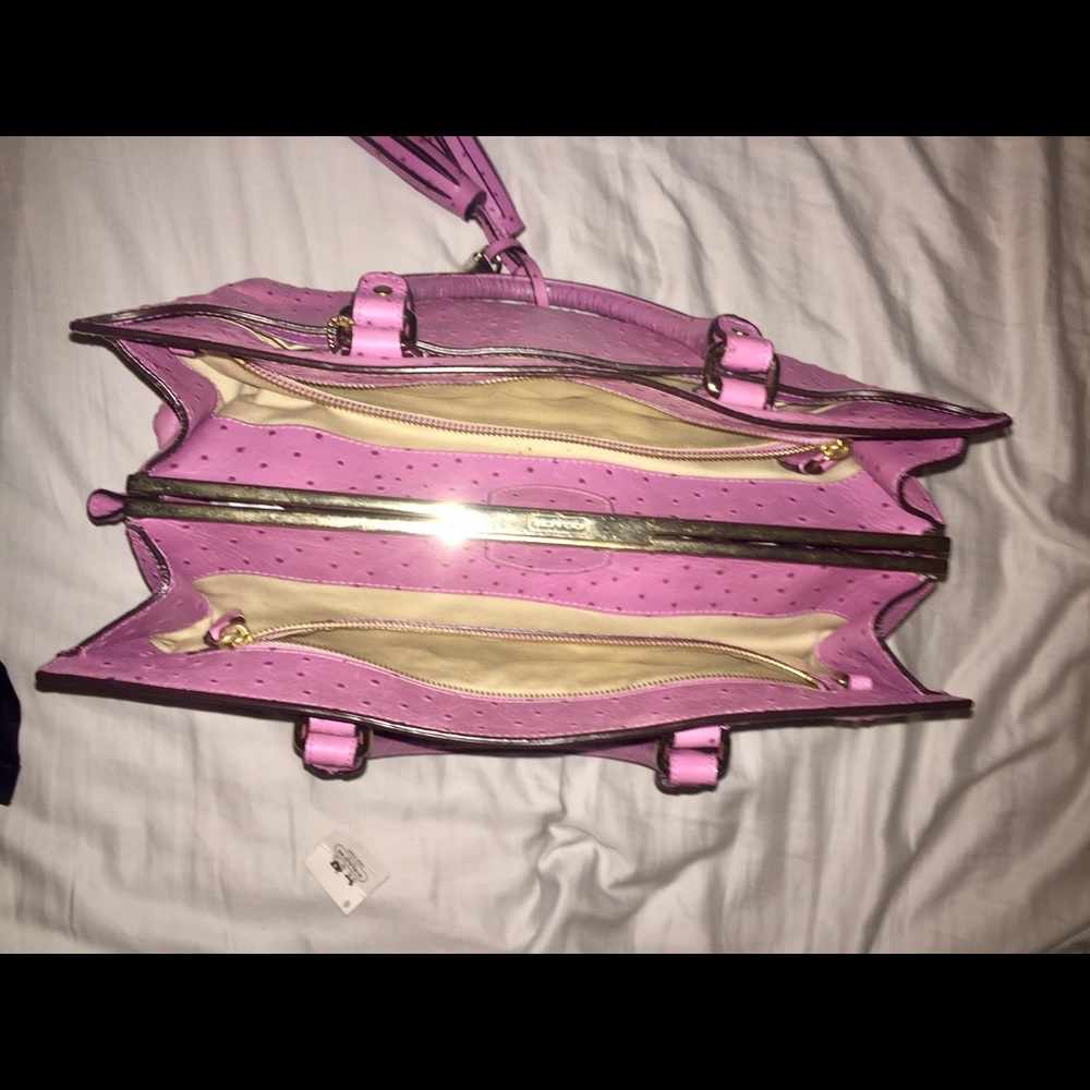 Coach - Picture 4 of 4