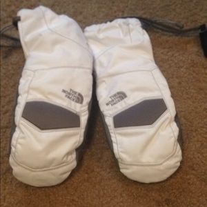 North Face Water Resistant Mittens
