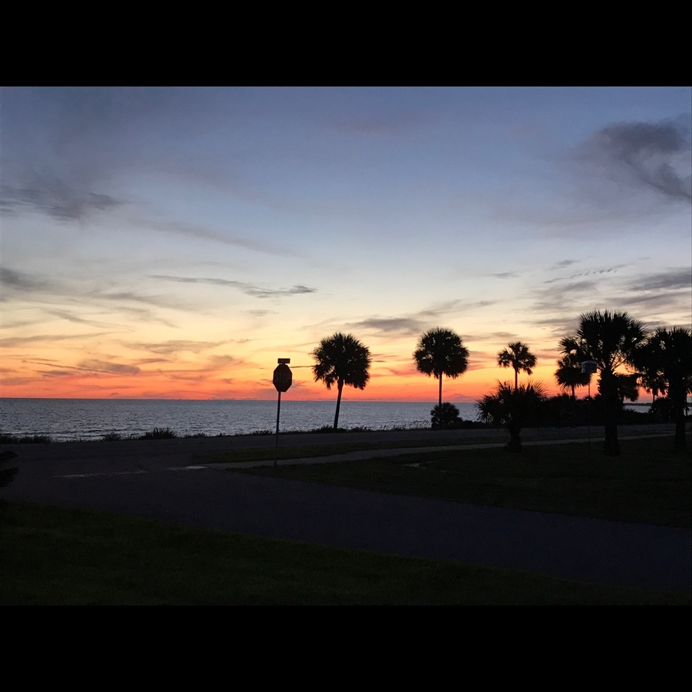 Meet your Posher, Tanji